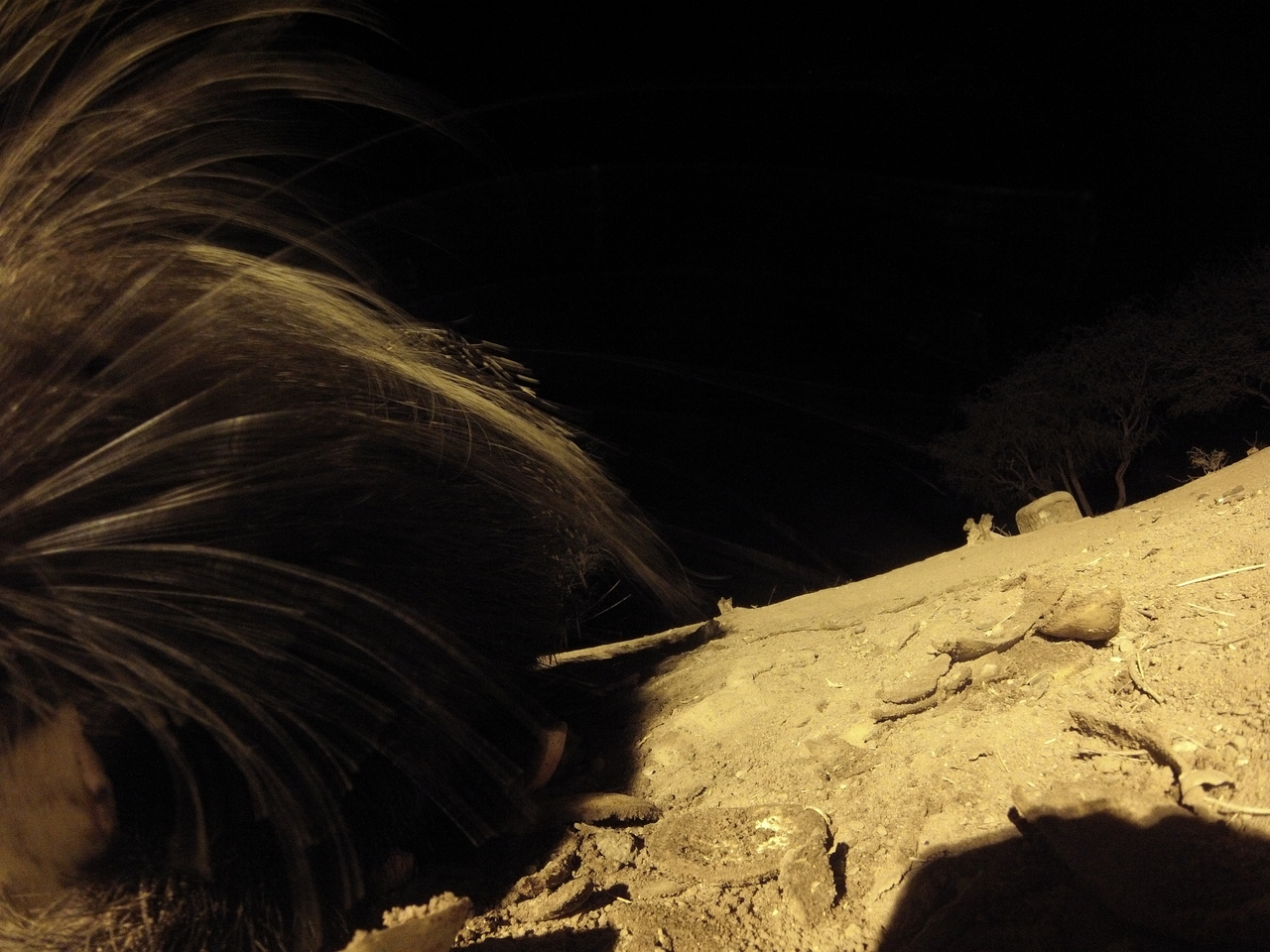 [11938] 2016_06_23_20_08_05_Africa_Hero3-Silver_Edition_IMG__00165.jpg