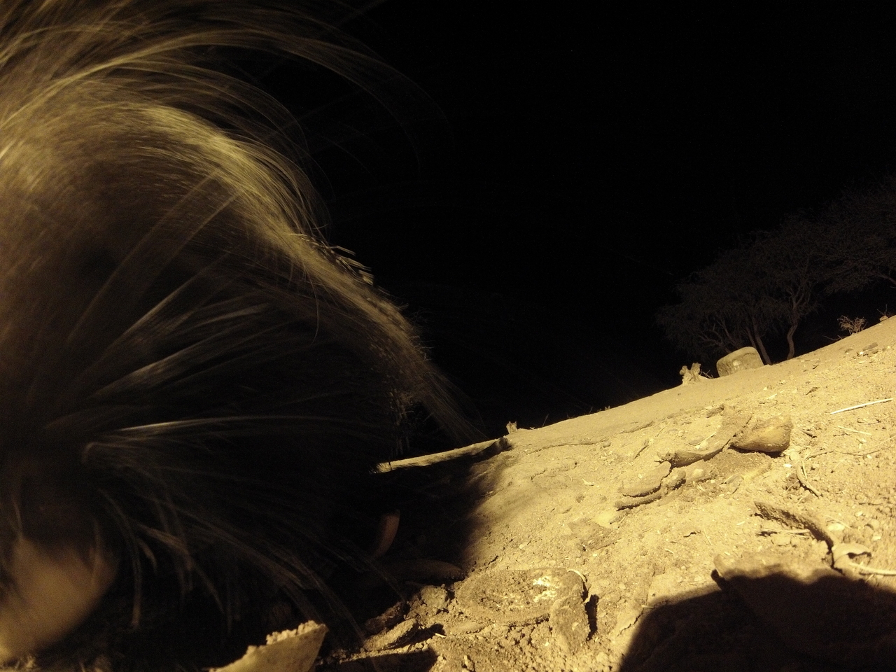 [11945] 2016_06_23_20_08_09_Africa_Hero3-Silver_Edition_IMG__01560.jpg