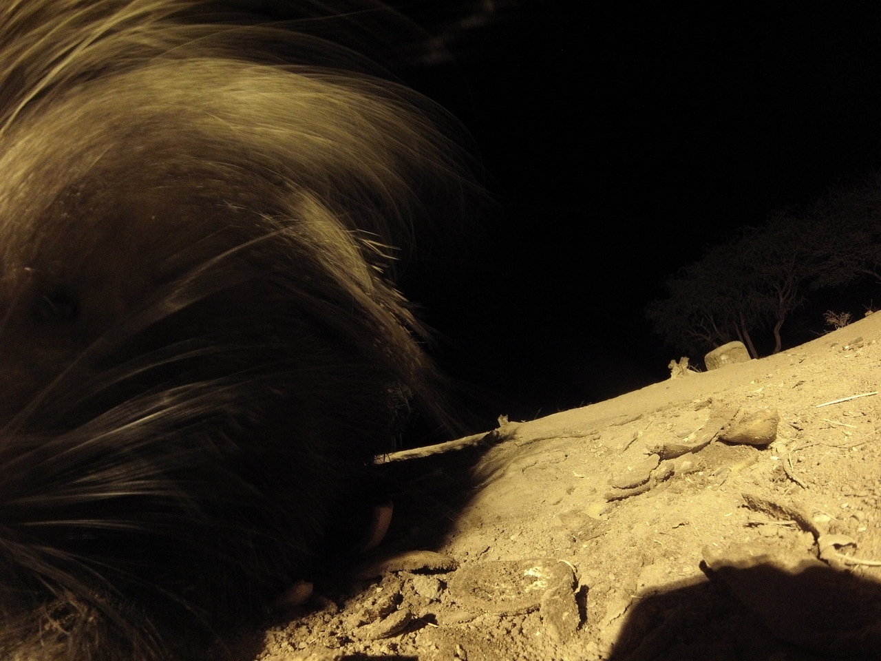 [11949] 2016_06_23_20_08_13_Africa_Hero3-Silver_Edition_IMG__01113.jpg