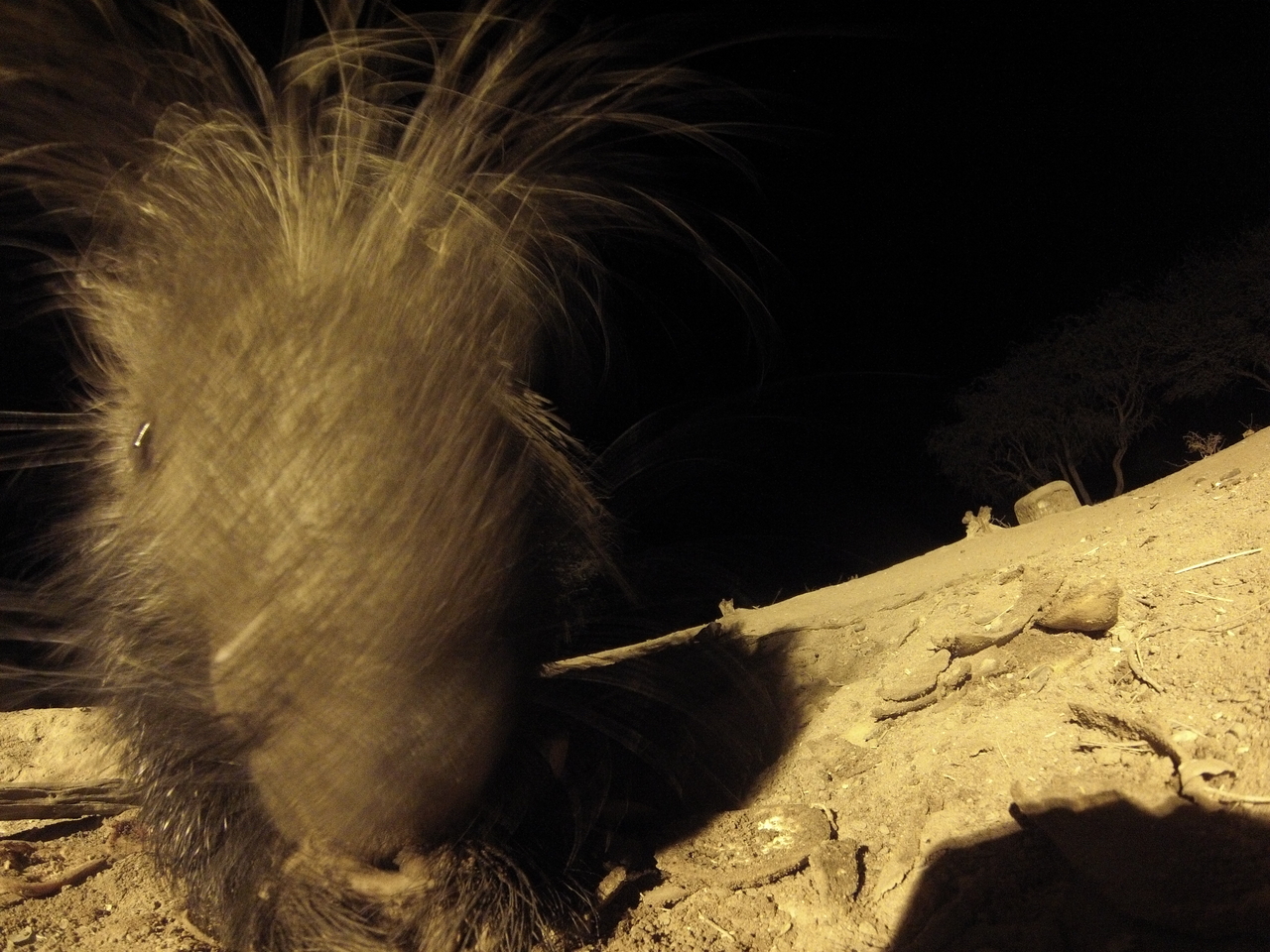 [11953] 2016_06_23_20_08_17_Africa_Hero3-Silver_Edition_IMG__00168.jpg