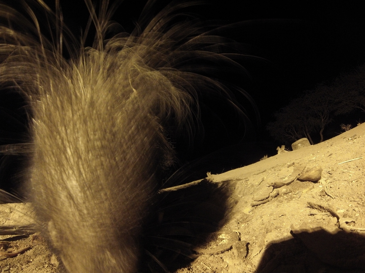 [11960] 2016_06_23_20_08_21_Africa_Hero3-Silver_Edition_IMG__01563.jpg