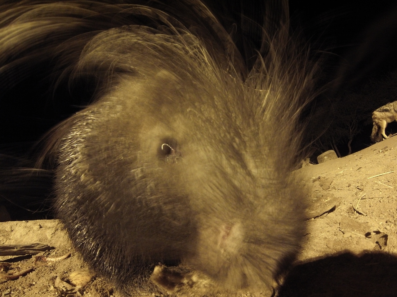 [11998] 2016_06_23_20_08_49_Africa_Hero3-Silver_Edition_IMG__00176.jpg