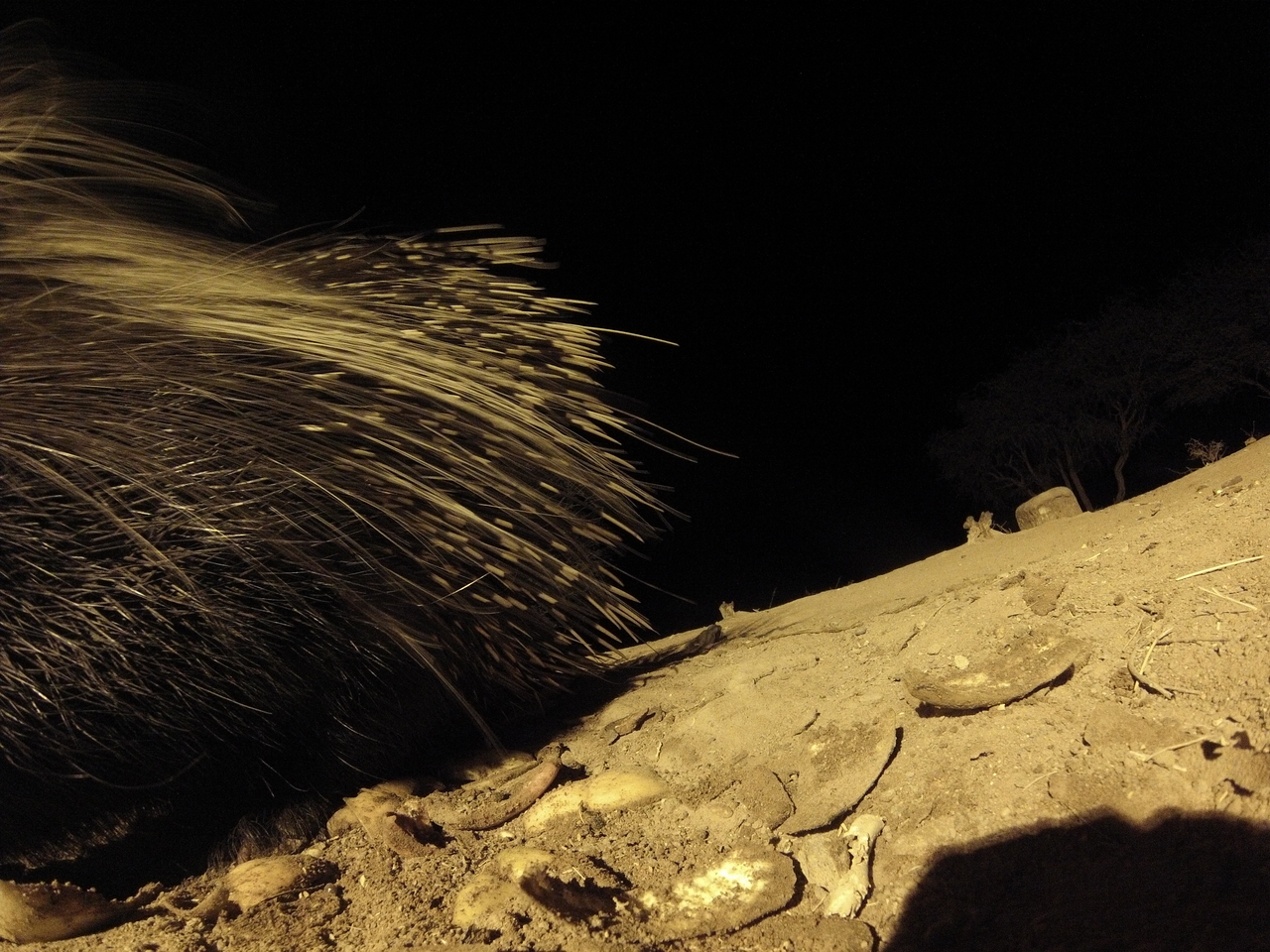 [12053] 2016_06_23_20_09_36_Africa_Hero3-Silver_Edition_IMG__01134.jpg