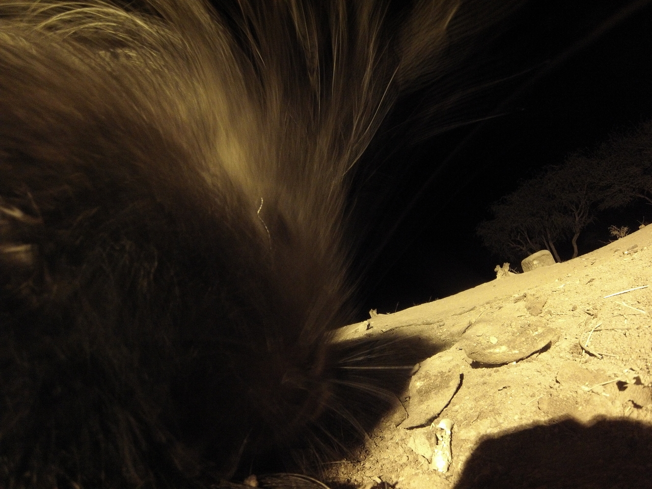 [12126] 2016_06_23_20_10_41_Africa_Hero3-Silver_Edition_IMG__00204.jpg