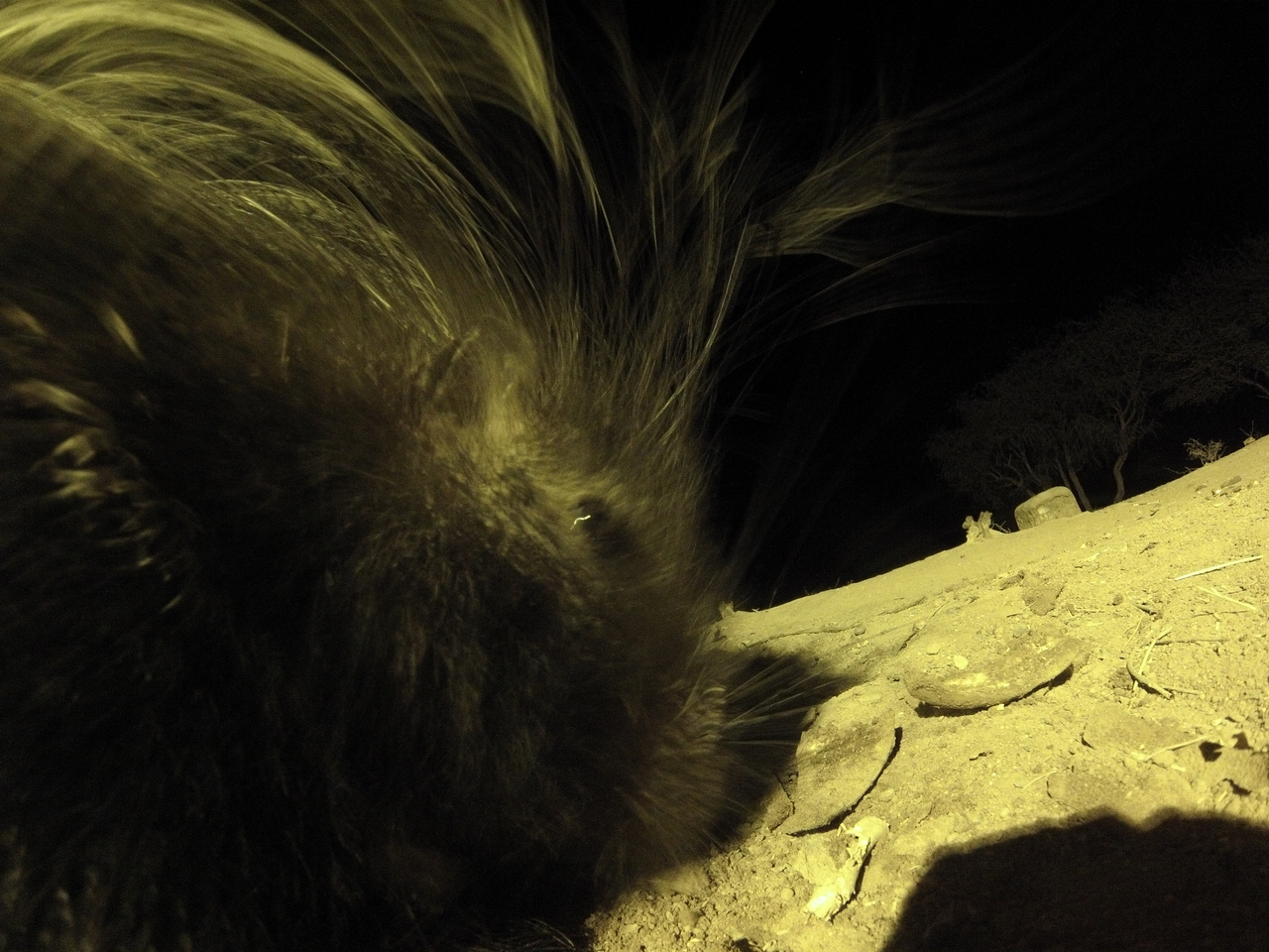 [12142] 2016_06_23_20_10_53_Africa_Hero3-Silver_Edition_IMG__01153.jpg