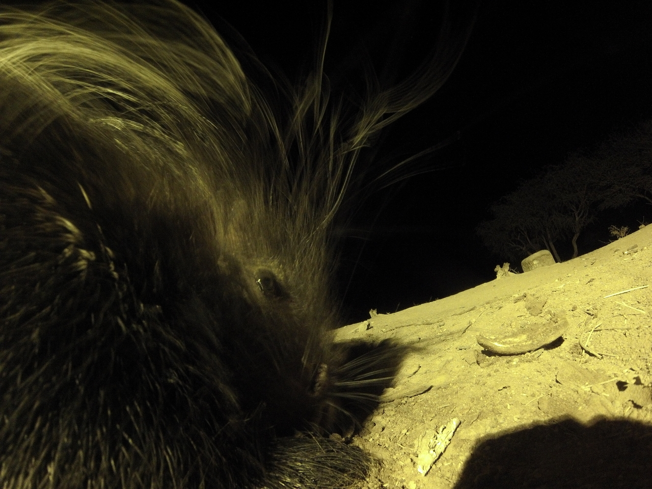 [12147] 2016_06_23_20_10_57_Africa_Hero3-Silver_Edition_IMG__01154.jpg