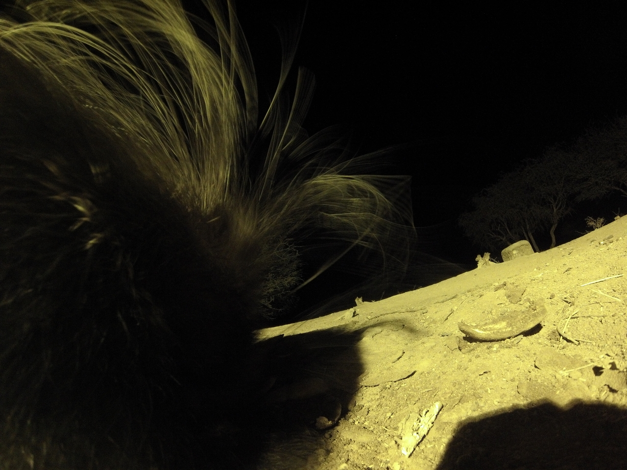 [12150] 2016_06_23_20_11_01_Africa_Hero3-Silver_Edition_IMG__01155.jpg