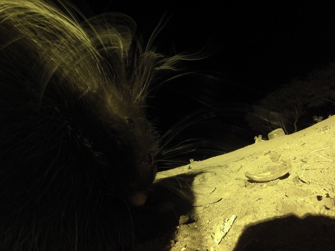 [12156] 2016_06_23_20_11_05_Africa_Hero3-Silver_Edition_IMG__01604.jpg