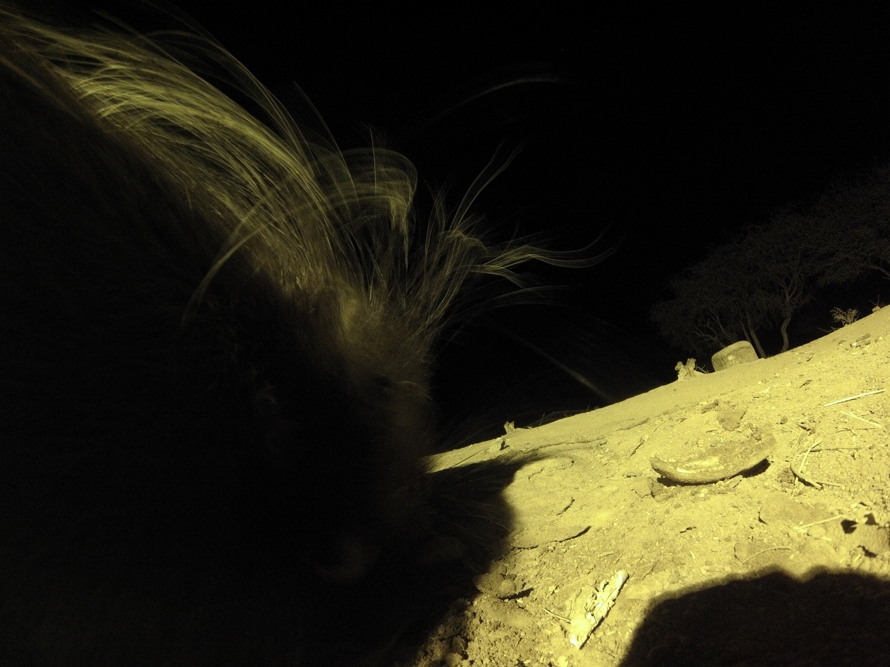 [12171] 2016_06_23_20_11_17_Africa_Hero3-Silver_Edition_IMG__01607.jpg