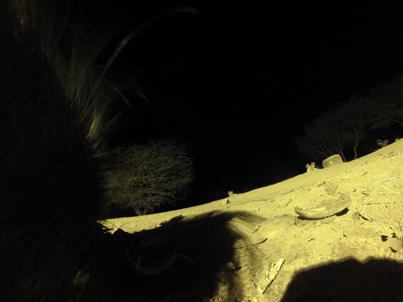 [12172] 2016_06_23_20_11_21_Africa_Hero3-Silver_Edition_IMG__00214.jpg