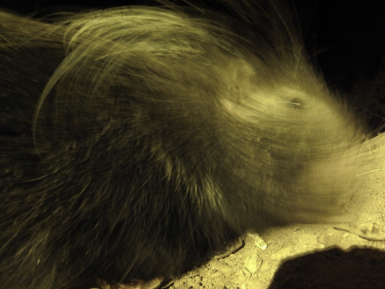 [12192] 2016_06_23_20_11_37_Africa_Hero3-Silver_Edition_IMG__00218.jpg