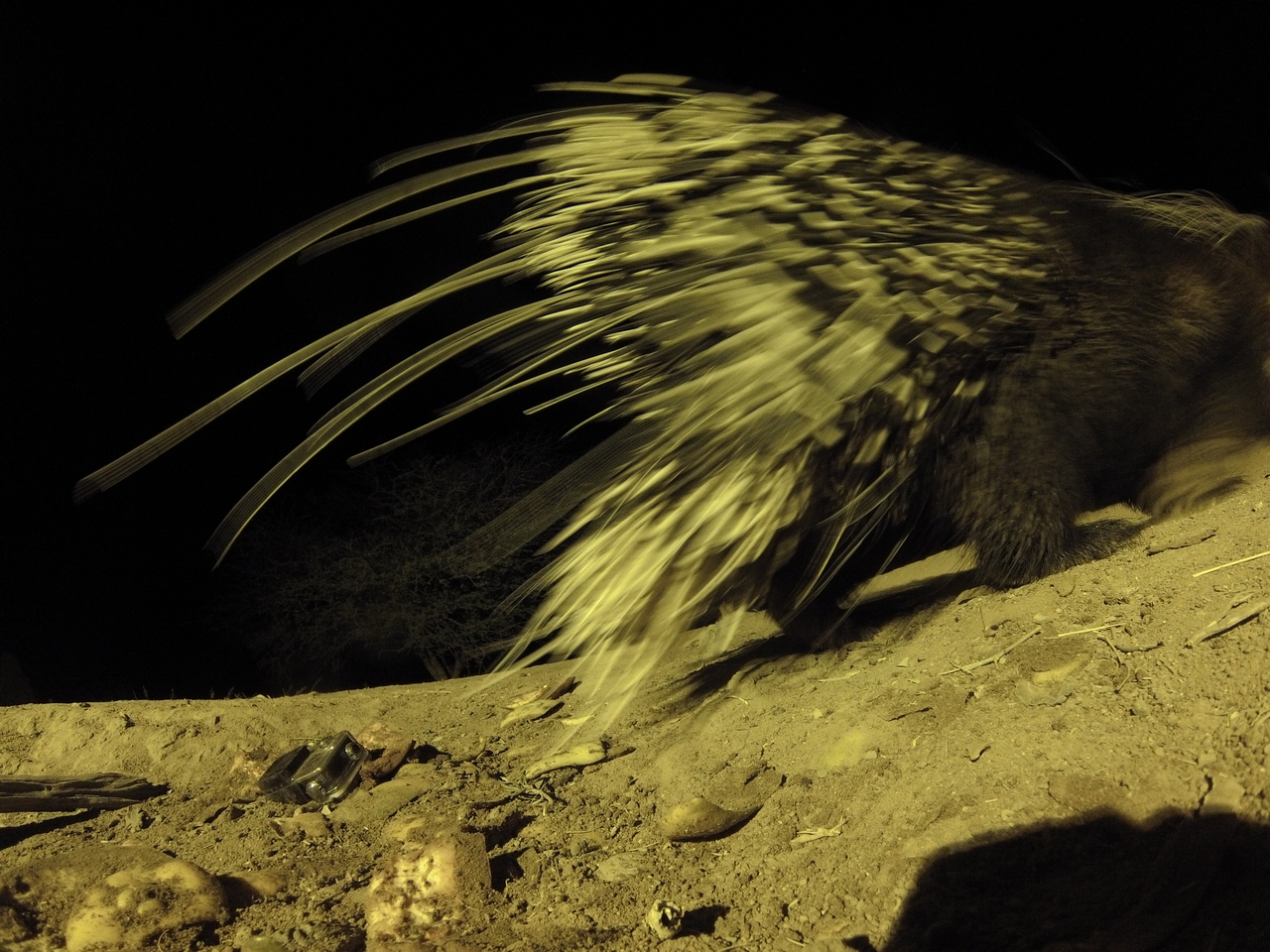 [12249] 2016_06_23_20_12_25_Africa_Hero3-Silver_Edition_IMG__00230.jpg