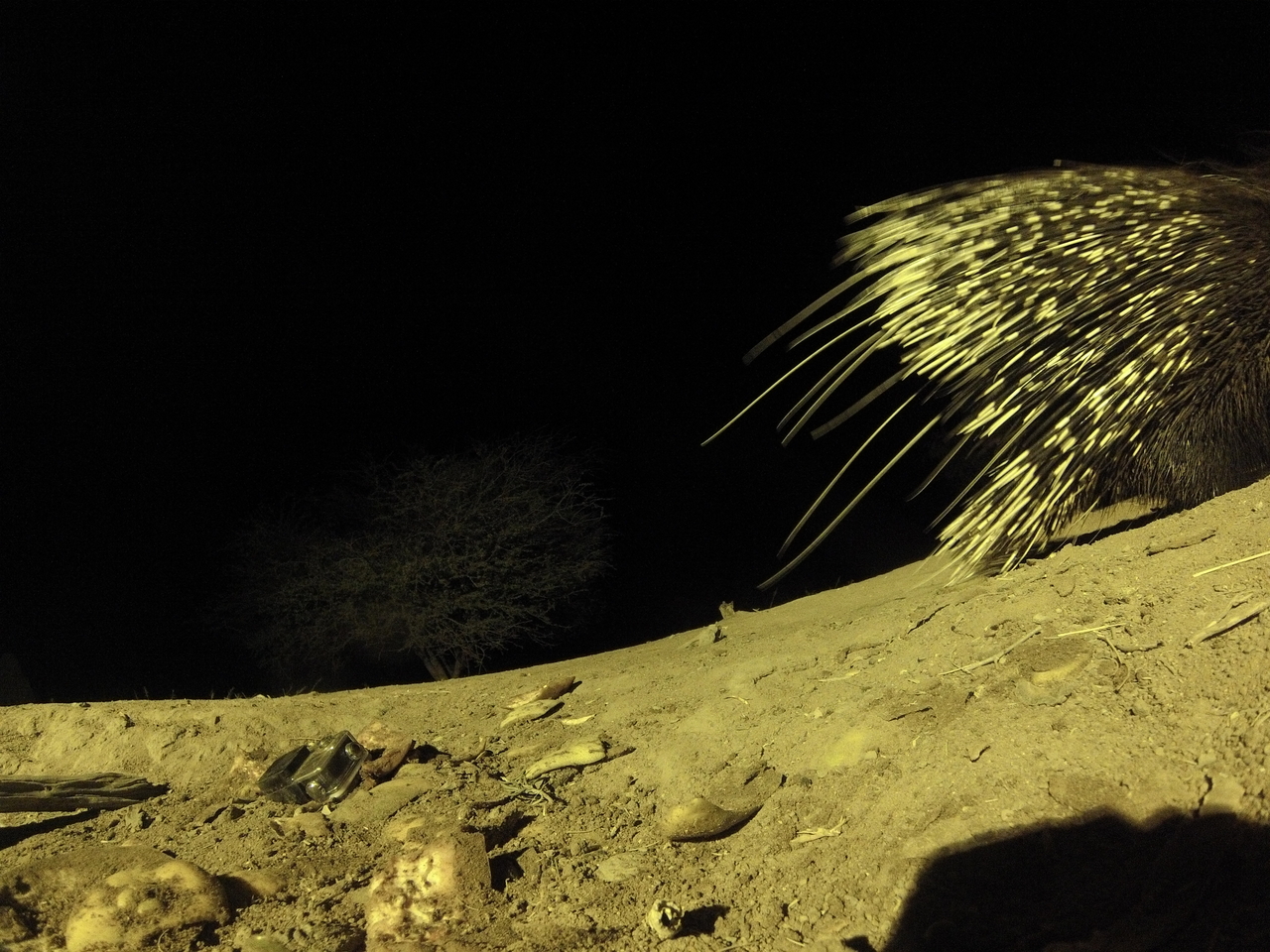 [12310] 2016_06_23_20_13_12_Africa_Hero3-Silver_Edition_IMG__01636.jpg