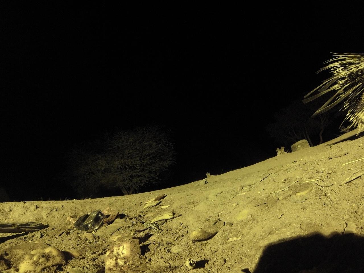 [12318] 2016_06_23_20_13_20_Africa_Hero3-Silver_Edition_IMG__01638.jpg