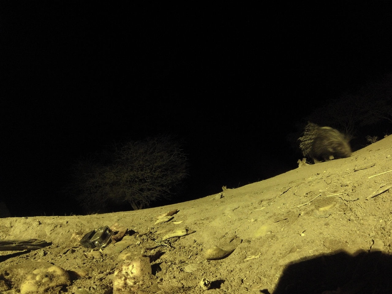 [12346] 2016_06_23_20_13_42_Africa_Hero3-Silver_Edition_IMG__01644.jpg