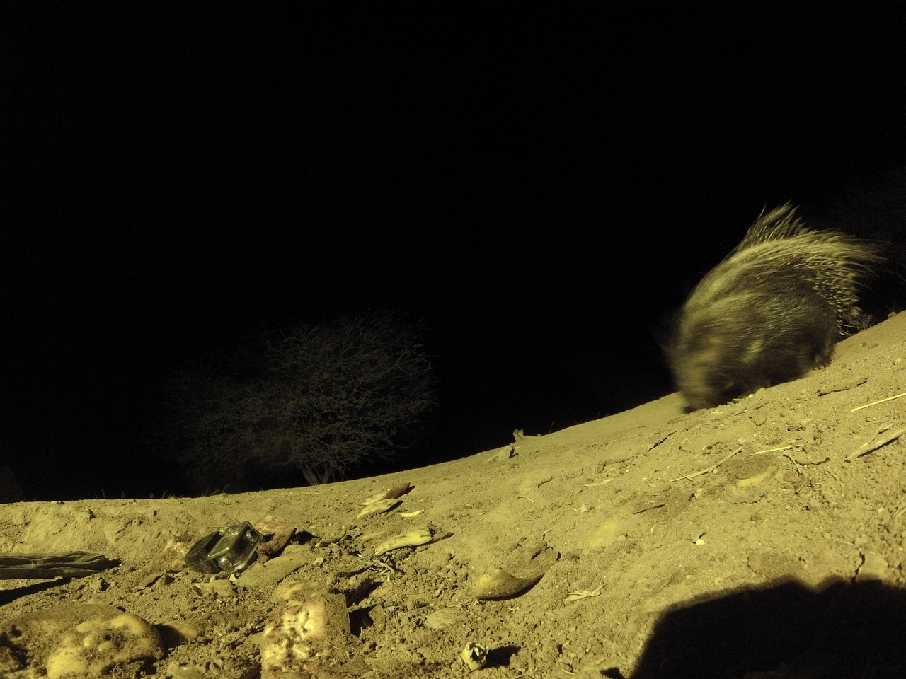 [12349] 2016_06_23_20_13_46_Africa_Hero3-Silver_Edition_IMG__00251.jpg