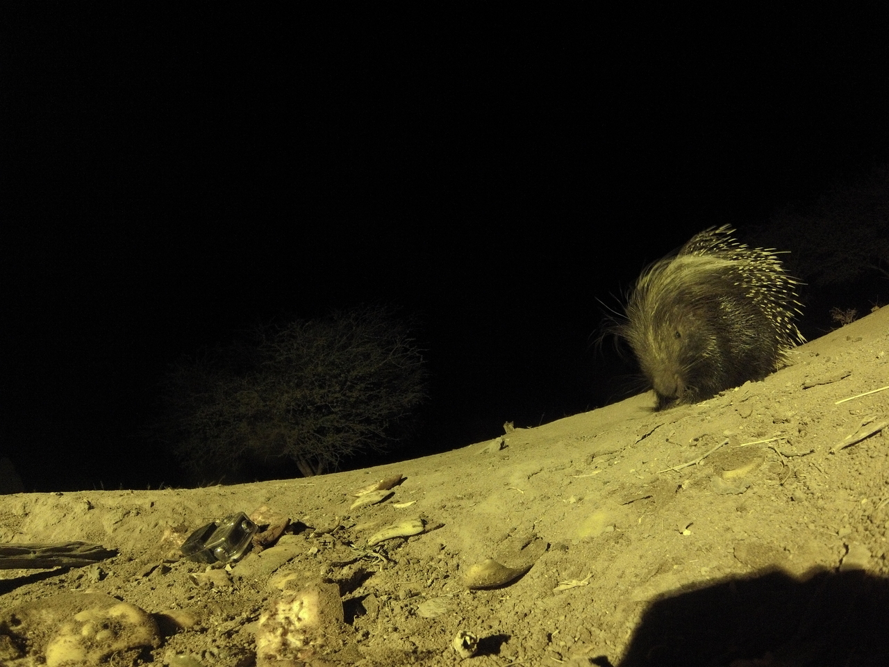 [12357] 2016_06_23_20_13_50_Africa_Hero3-Silver_Edition_IMG__01647.jpg