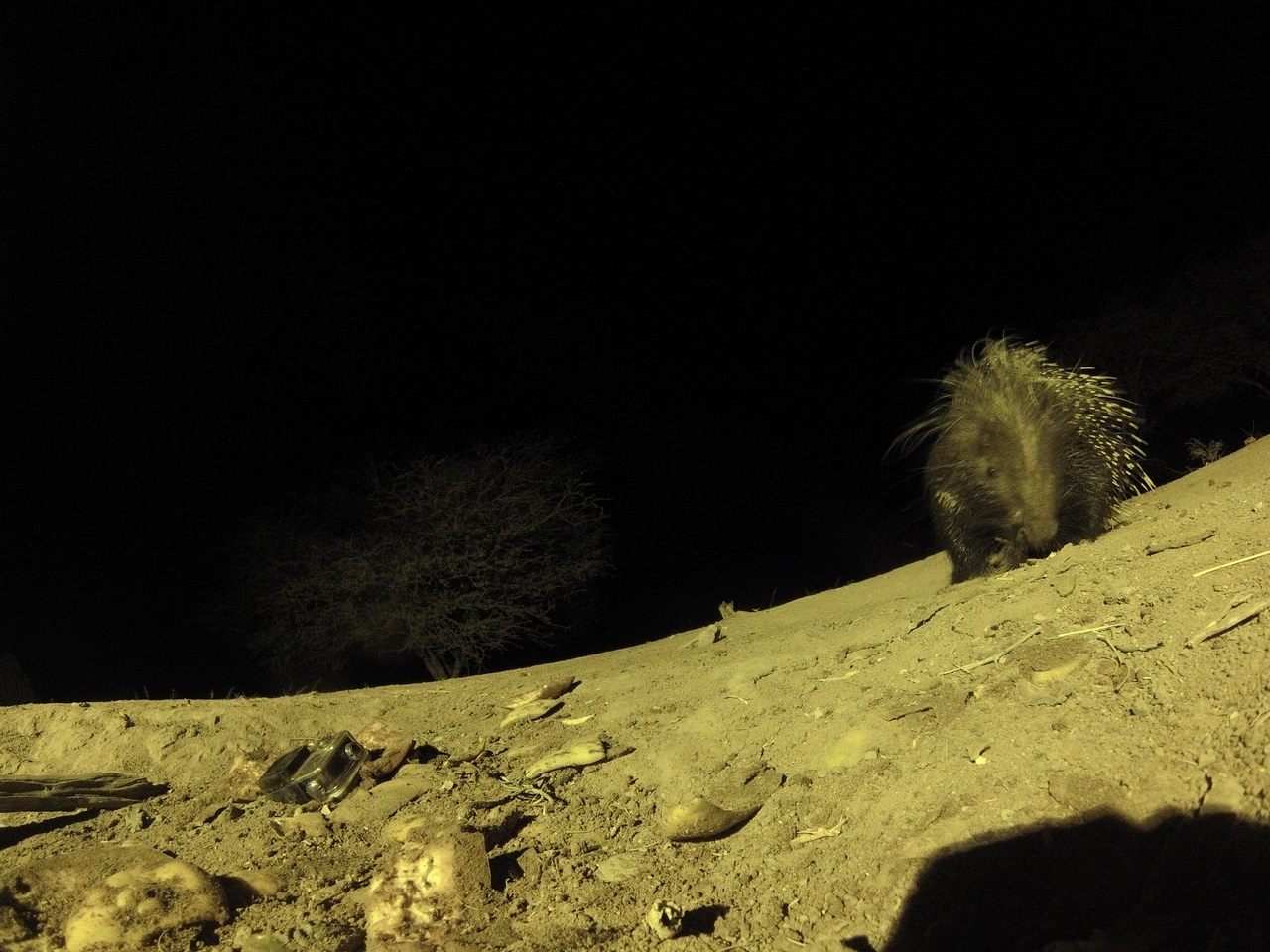 [12371] 2016_06_23_20_14_02_Africa_Hero3-Silver_Edition_IMG__01202.jpg