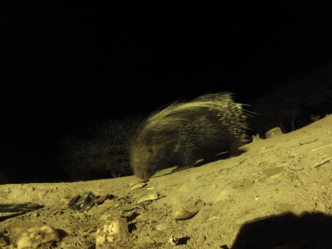 [12380] 2016_06_23_20_14_10_Africa_Hero3-Silver_Edition_IMG__01652.jpg