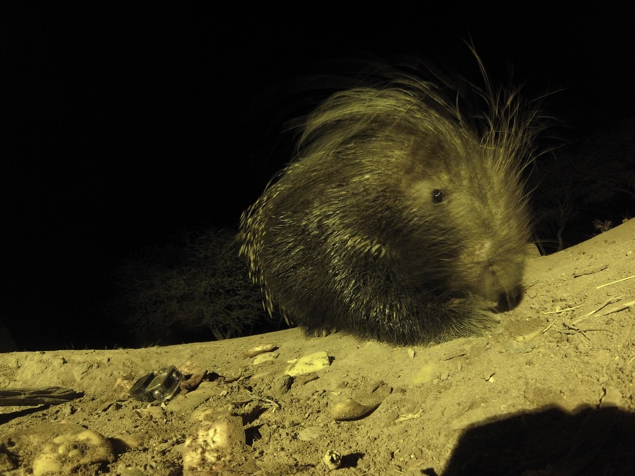 [12390] 2016_06_23_20_14_18_Africa_Hero3-Silver_Edition_IMG_8052_02972.jpg