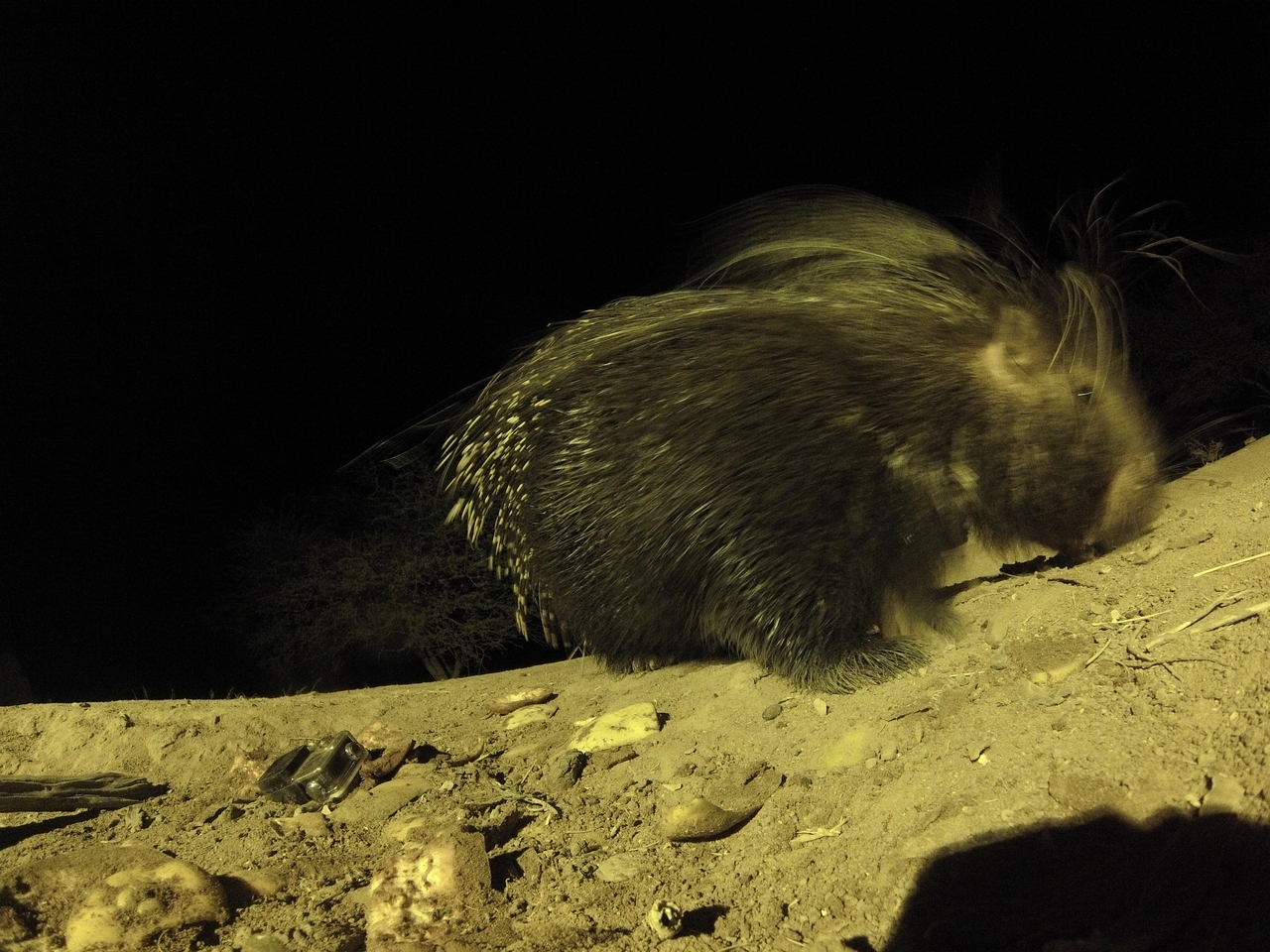 [12397] 2016_06_23_20_14_22_Africa_Hero3-Silver_Edition_IMG__01207.jpg