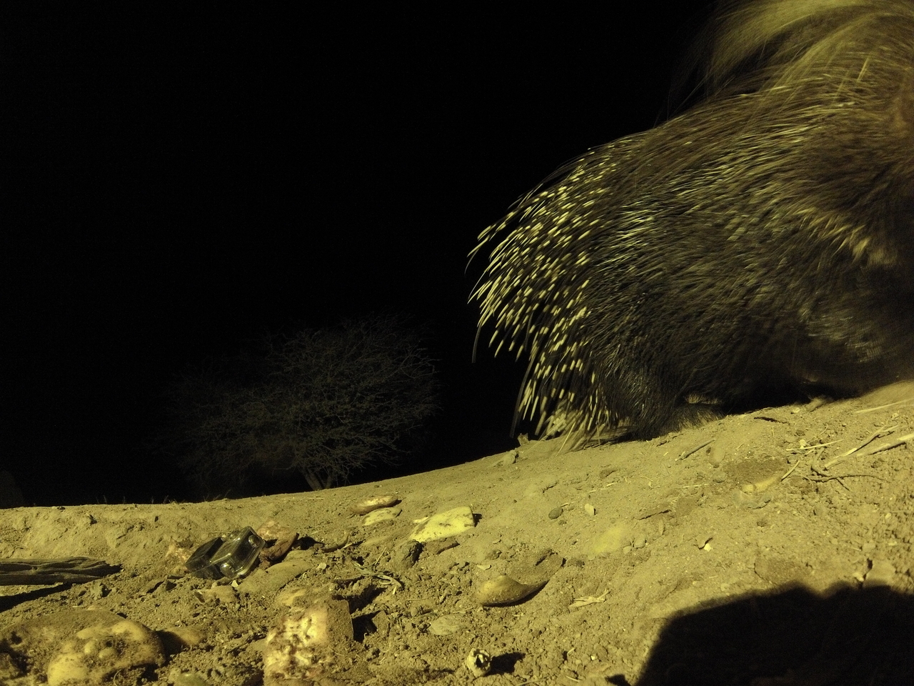 [12427] 2016_06_23_20_14_50_Africa_Hero3-Silver_Edition_IMG__00268.jpg