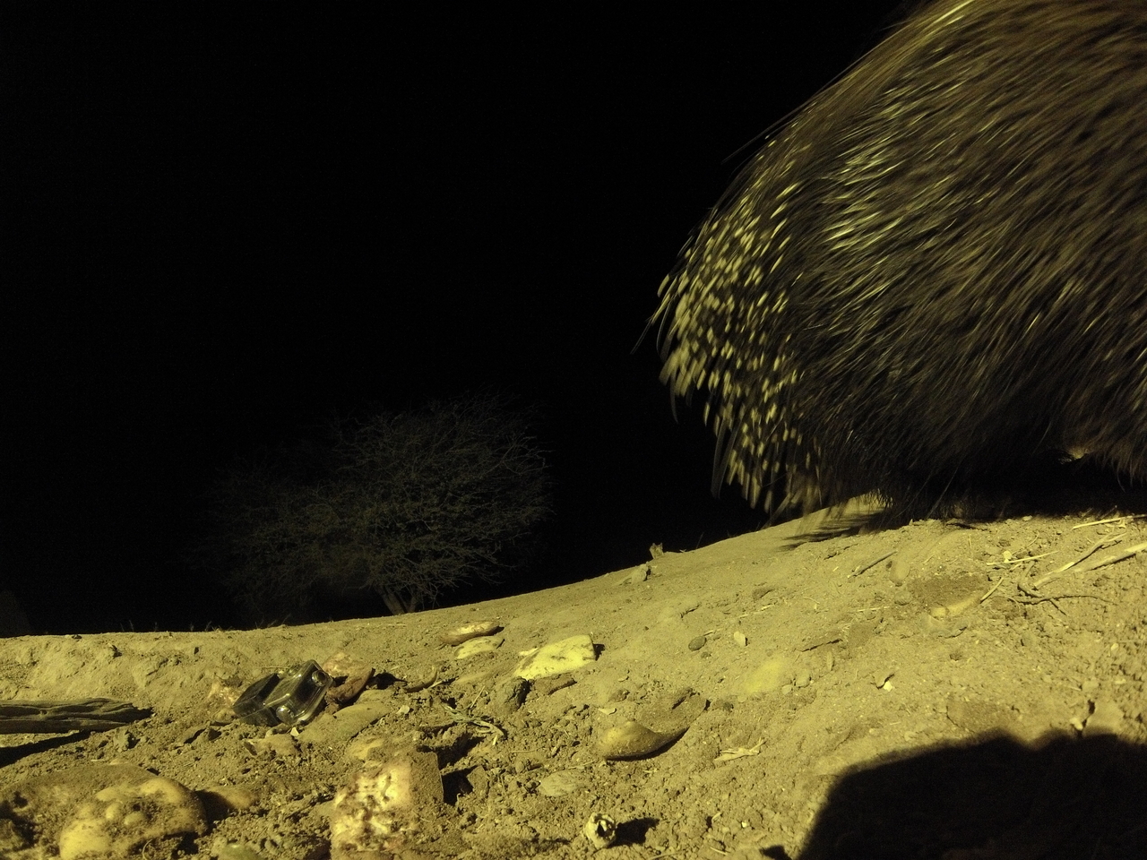 [12433] 2016_06_23_20_14_54_Africa_Hero3-Silver_Edition_IMG__01215.jpg