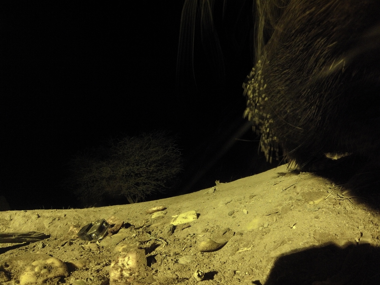 [12437] 2016_06_23_20_14_58_Africa_Hero3-Silver_Edition_IMG__00270.jpg