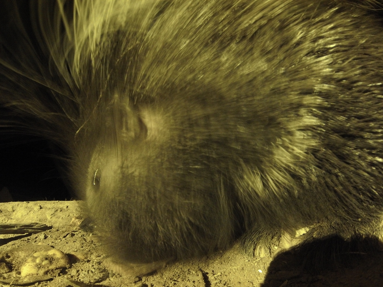 [12462] 2016_06_23_20_15_17_Africa_Hero3-Silver_Edition_IMG__01669.jpg