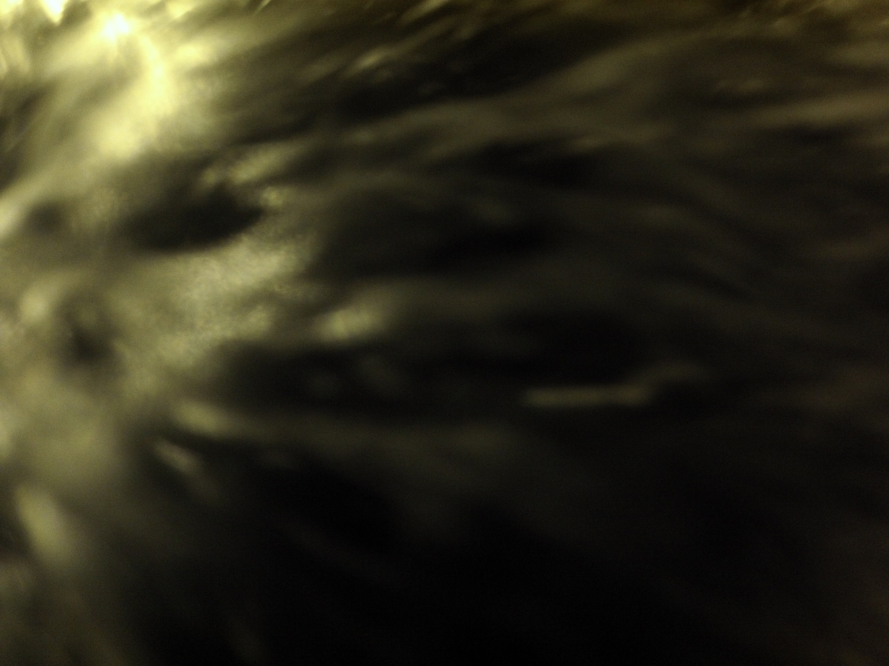 [12475] 2016_06_23_20_15_29_Africa_Hero3-Silver_Edition_IMG__01672.jpg