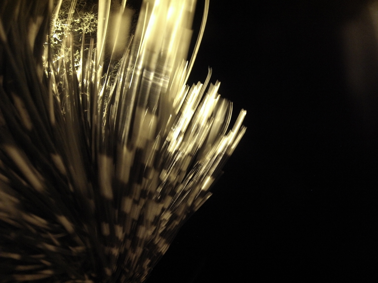 [12483] 2016_06_23_20_15_37_Africa_Hero3-Silver_Edition_IMG__00280.jpg