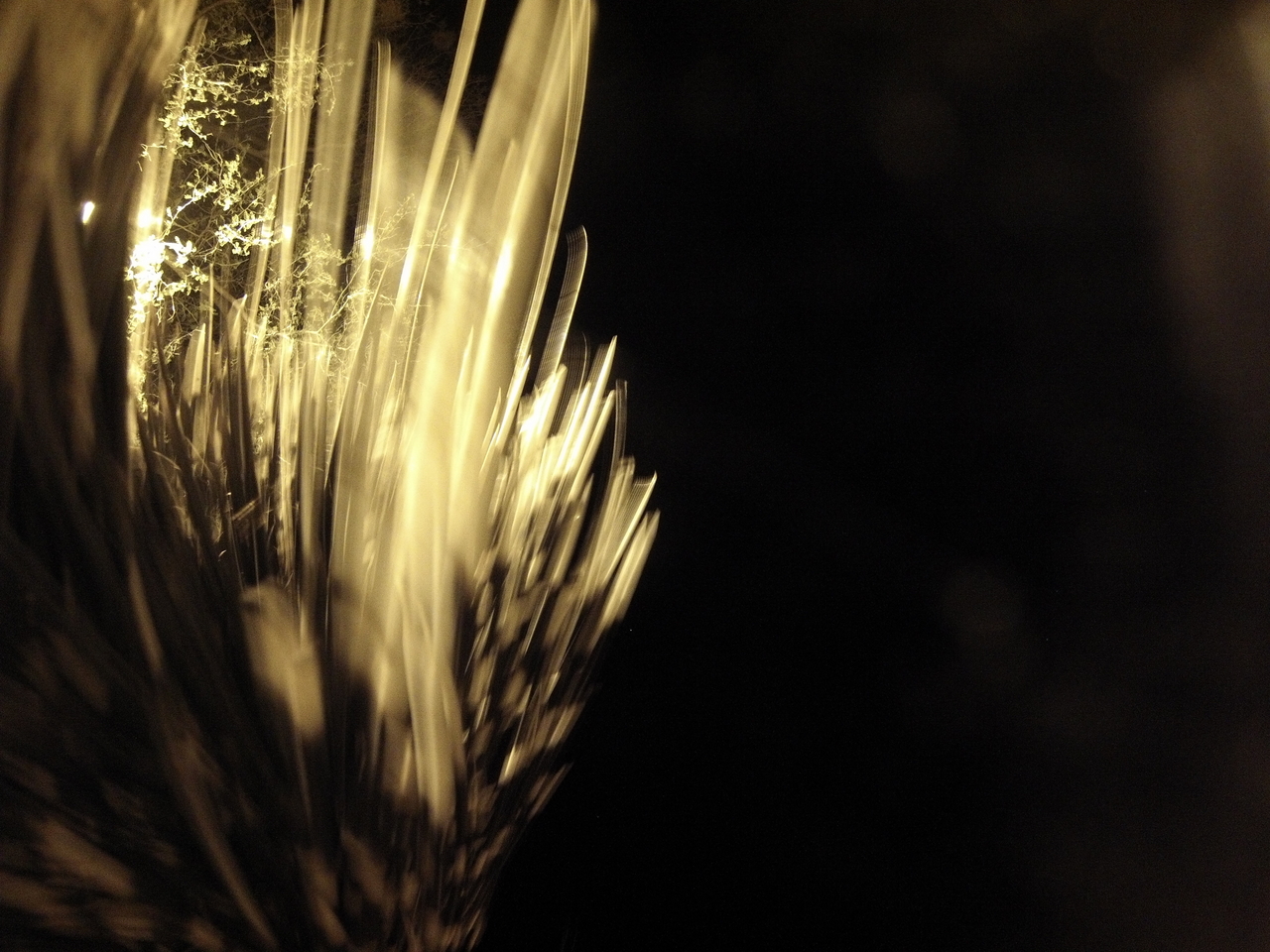 [12486] 2016_06_23_20_15_40_Africa_Hero3-Silver_Edition_IMG__00281.jpg