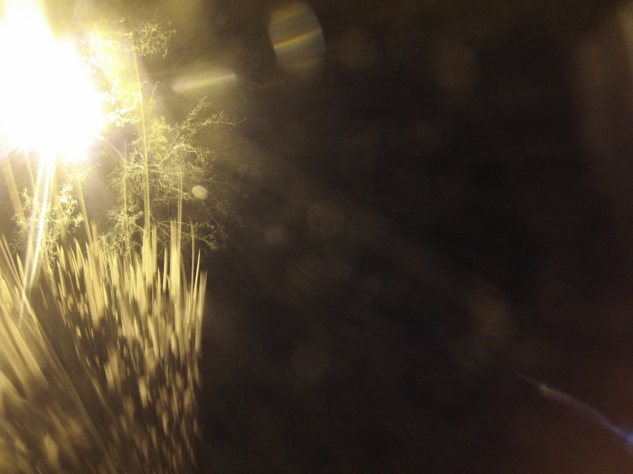 [12491] 2016_06_23_20_15_44_Africa_Hero3-Silver_Edition_IMG__00282.jpg