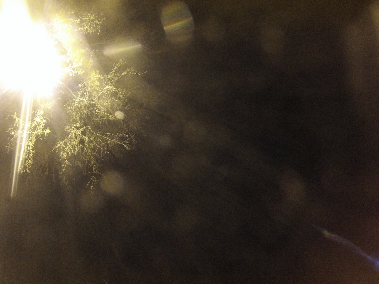 [12495] 2016_06_23_20_15_46_Africa_Hero3-Silver_Edition_IMG__01229.jpg