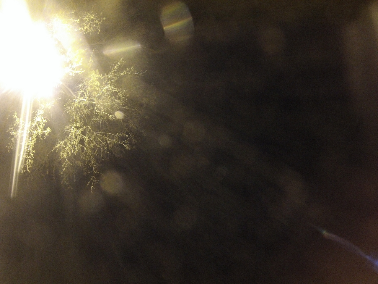 [12654] 2016_06_23_20_17_58_Africa_Hero3-Silver_Edition_IMG__01264.jpg