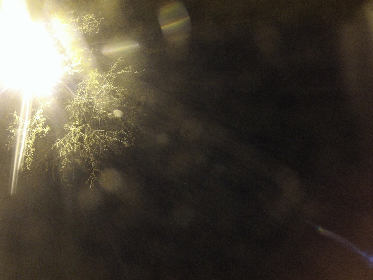 [12671] 2016_06_23_20_18_12_Africa_Hero3-Silver_Edition_IMG__00322.jpg