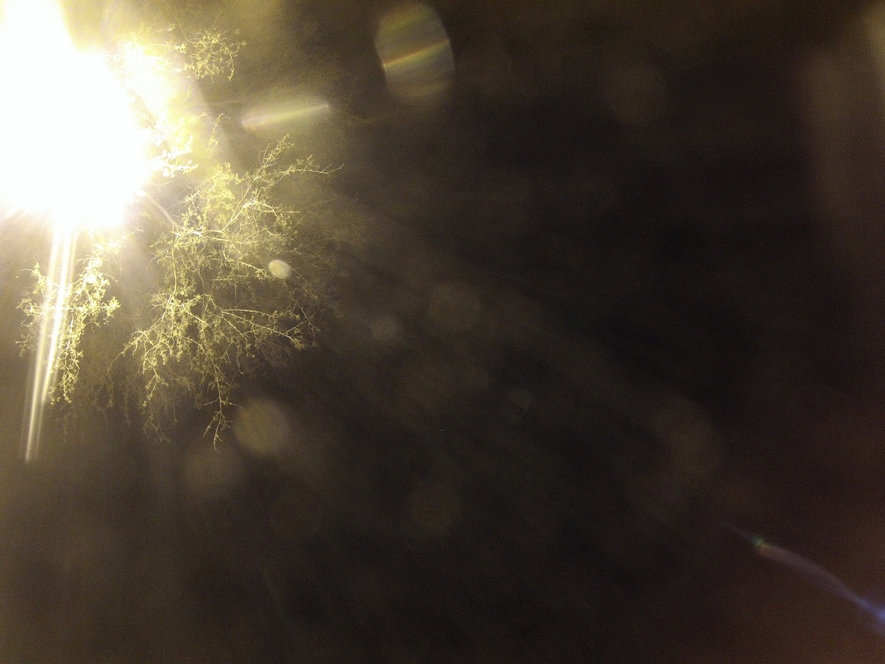 [12887] 2016_06_23_20_21_19_Africa_Hero3-Silver_Edition_IMG__01315.jpg