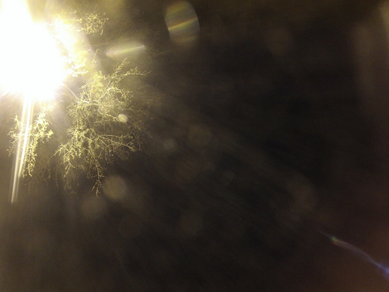 [12902] 2016_06_23_20_21_31_Africa_Hero3-Silver_Edition_IMG__01318.jpg