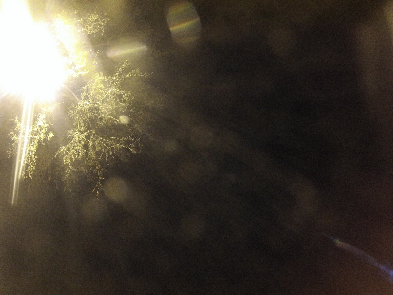 [12909] 2016_06_23_20_21_39_Africa_Hero3-Silver_Edition_IMG__00374.jpg