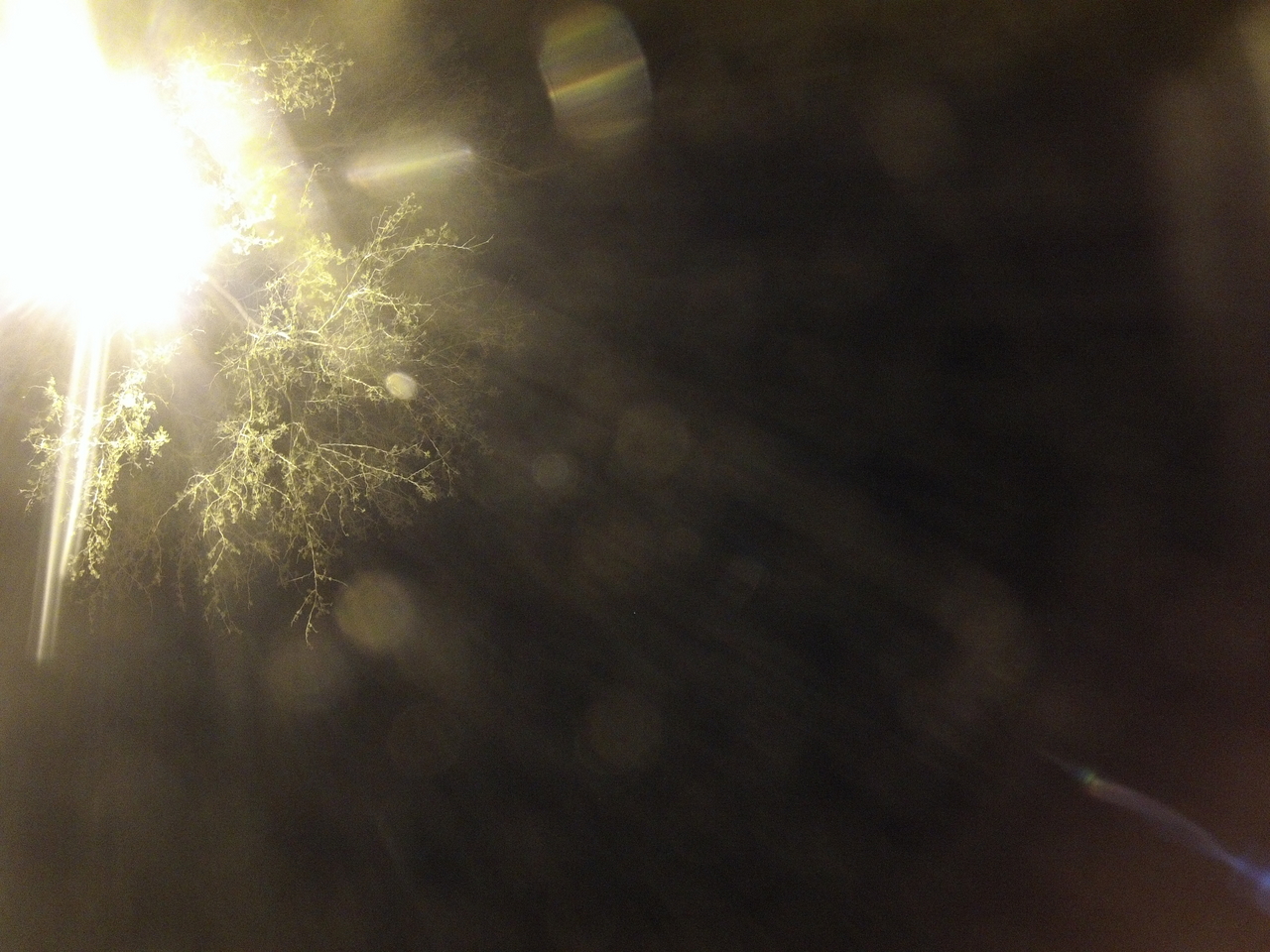 [13013] 2016_06_23_20_23_07_Africa_Hero3-Silver_Edition_IMG__01790.jpg