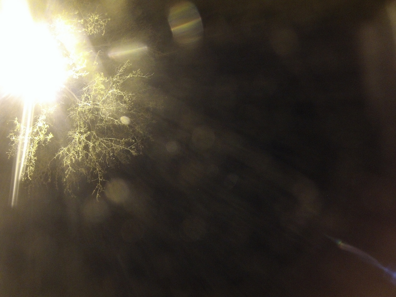 [13150] 2016_06_23_20_25_07_Africa_Hero3-Silver_Edition_IMG__01372.jpg