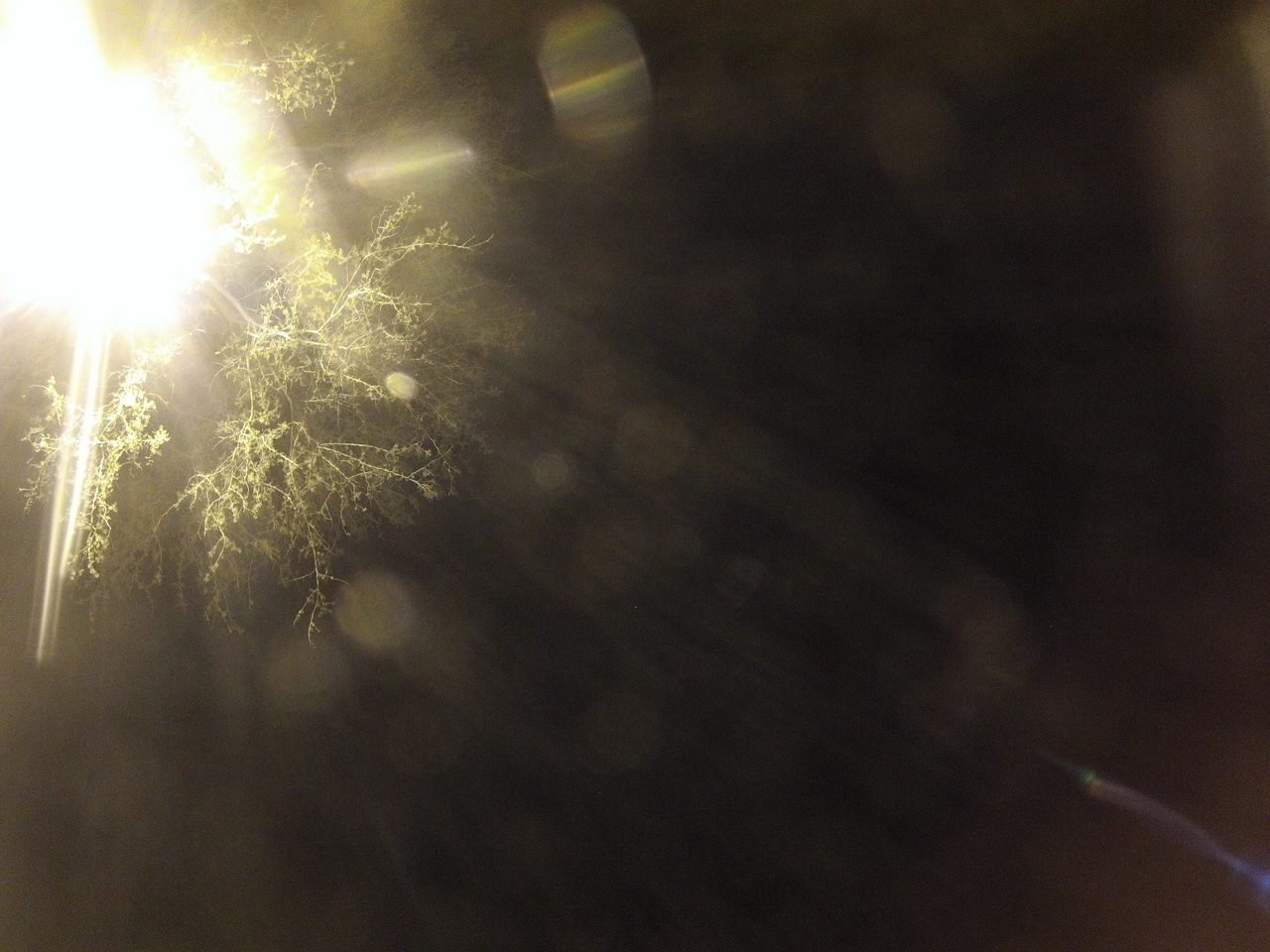 [13187] 2016_06_23_20_25_39_Africa_Hero3-Silver_Edition_IMG__01828.jpg