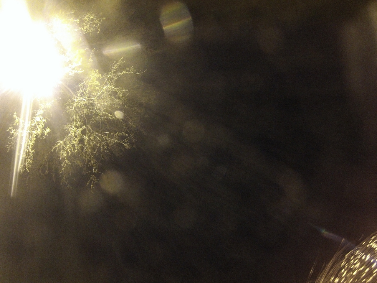 [13348] 2016_06_23_20_27_59_Africa_Hero3-Silver_Edition_IMG__01863.jpg