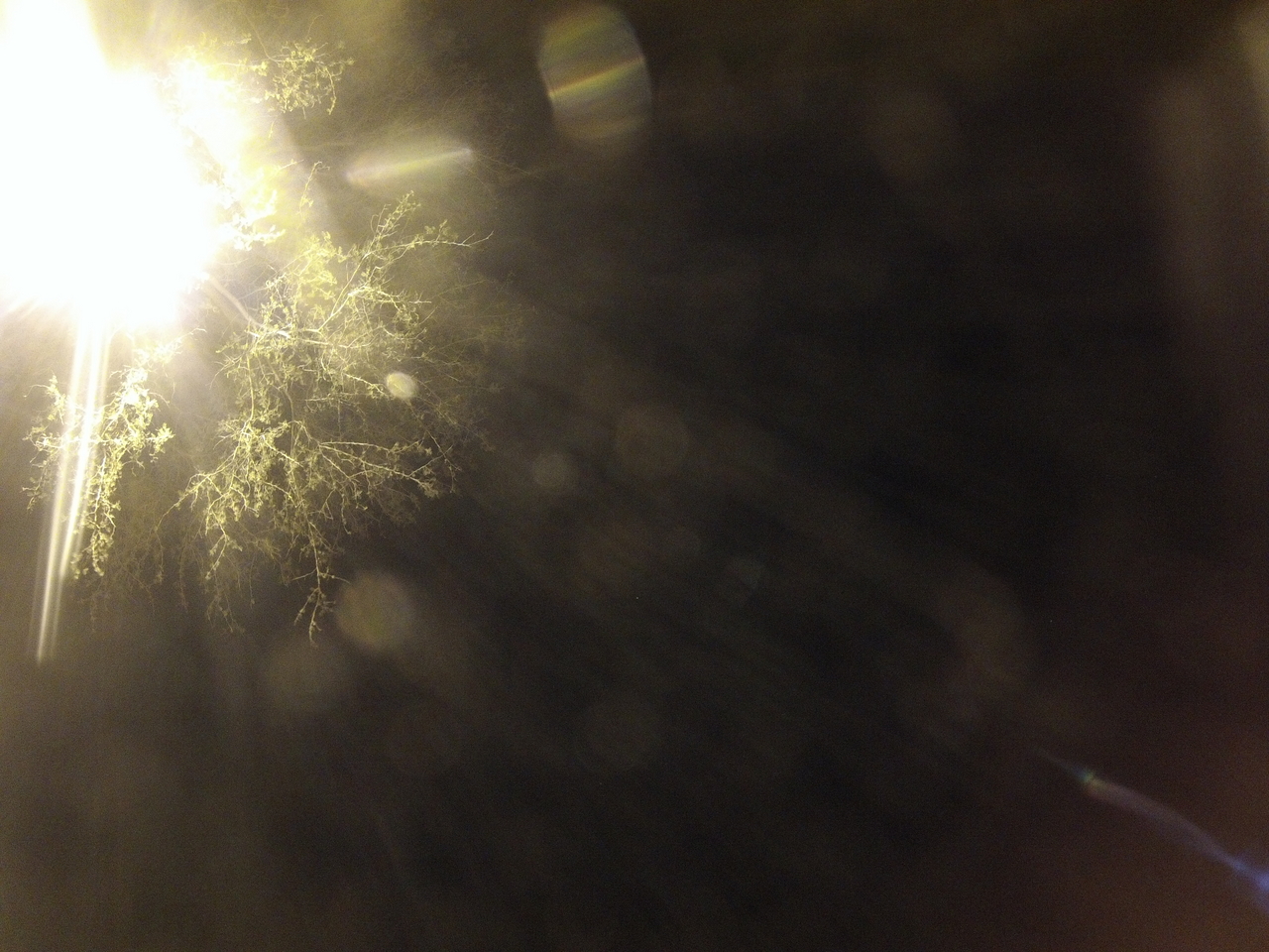 [13457] 2016_06_23_20_29_35_Africa_Hero3-Silver_Edition_IMG__01439.jpg