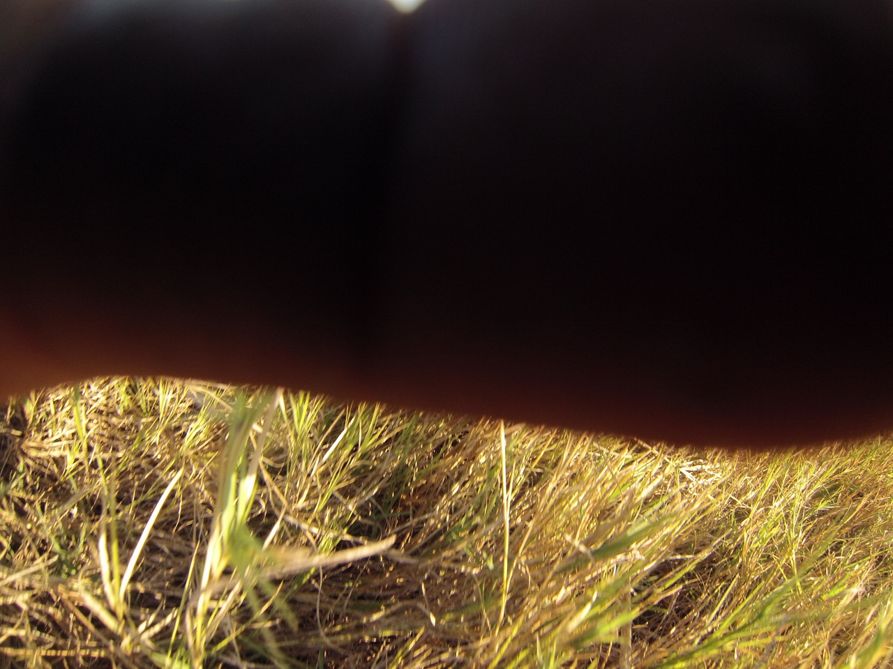 [25352] 2016_06_30_15_00_27_Africa_Hero3-Silver_Edition_IMG__01492.jpg