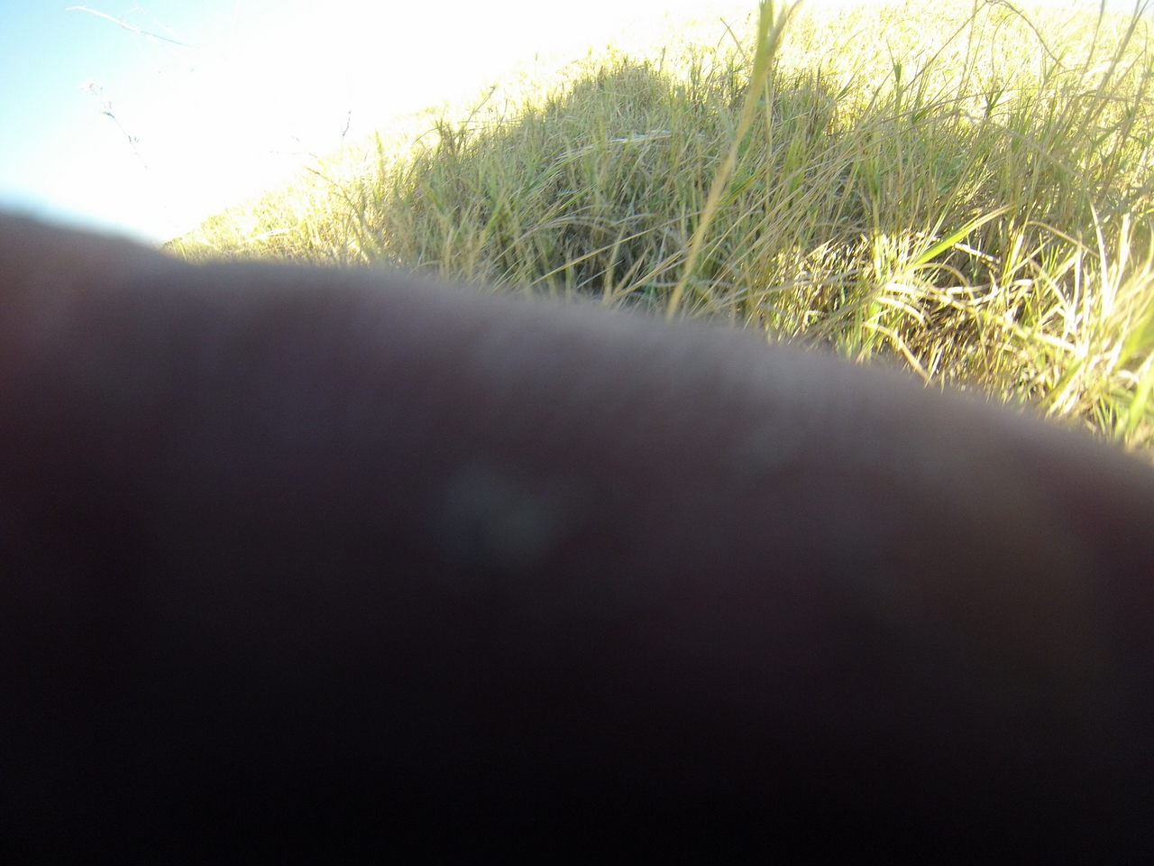 [25354] 2016_06_30_15_00_29_Africa_Hero3-Silver_Edition_IMG__00547.jpg