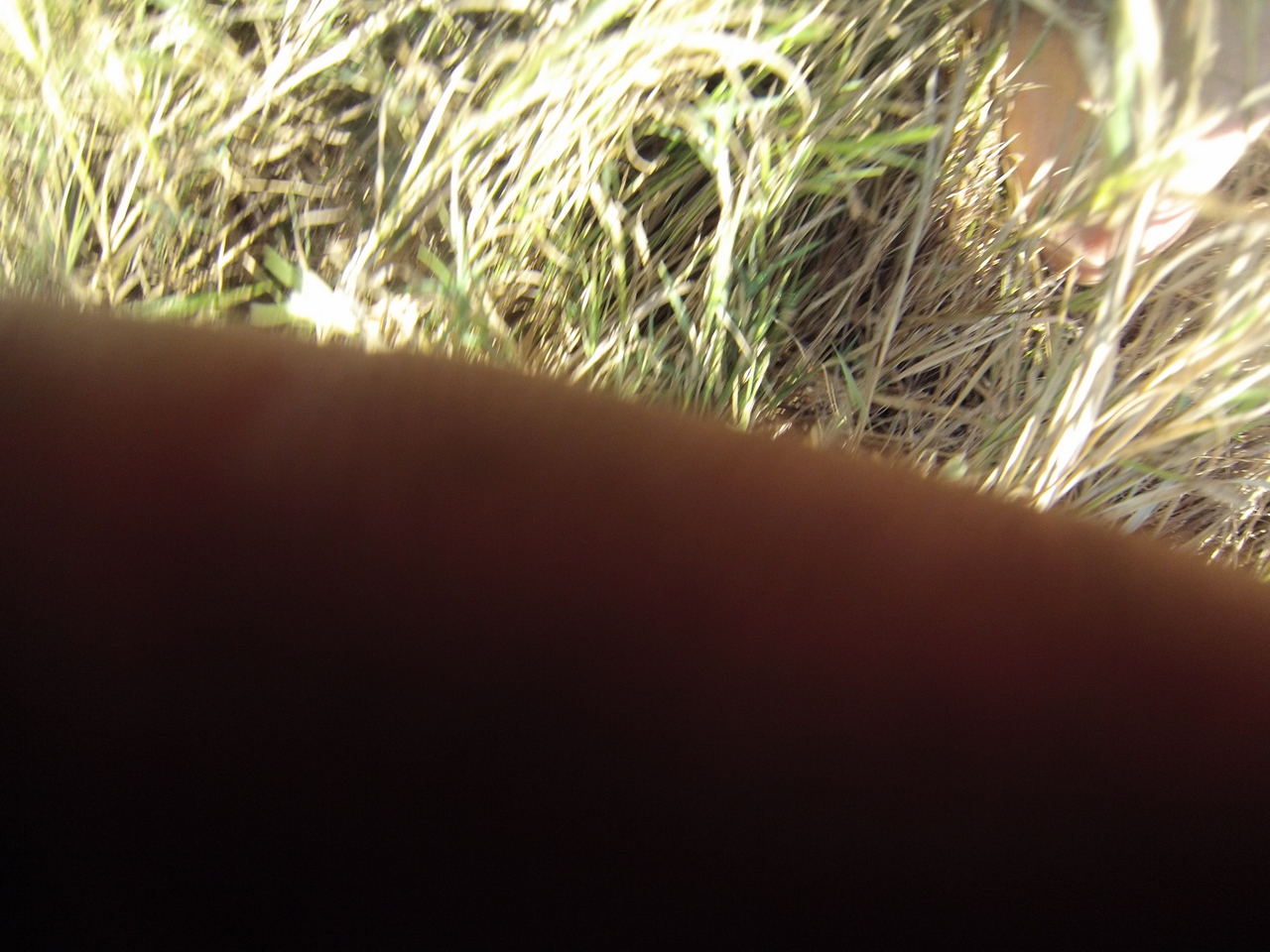 [25362] 2016_06_30_15_00_33_Africa_Hero3-Silver_Edition_IMG__01943.jpg