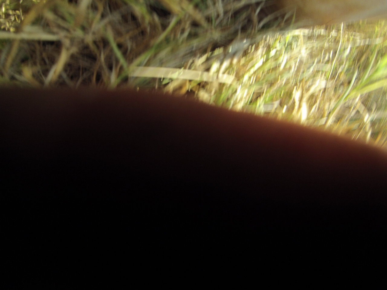 [25367] 2016_06_30_15_00_37_Africa_Hero3-Silver_Edition_IMG__01497.jpg