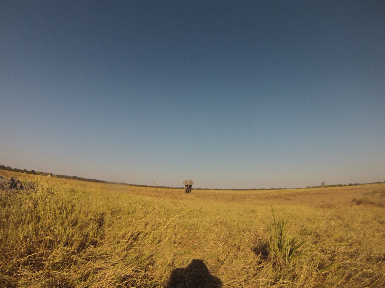 [25381] 2016_06_30_15_00_47_Africa_Hero3-Silver_Edition_IMG__00556.jpg