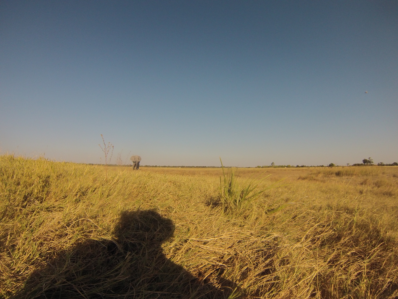 [25384] 2016_06_30_15_00_49_Africa_Hero3-Silver_Edition_IMG__00557.jpg